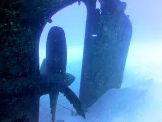 Underwater photograph by Joel Bergsma