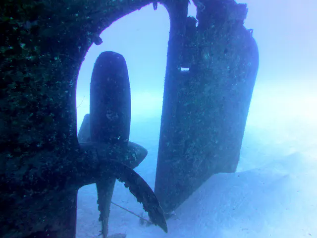 Underwater photograph by Joel Bergsma