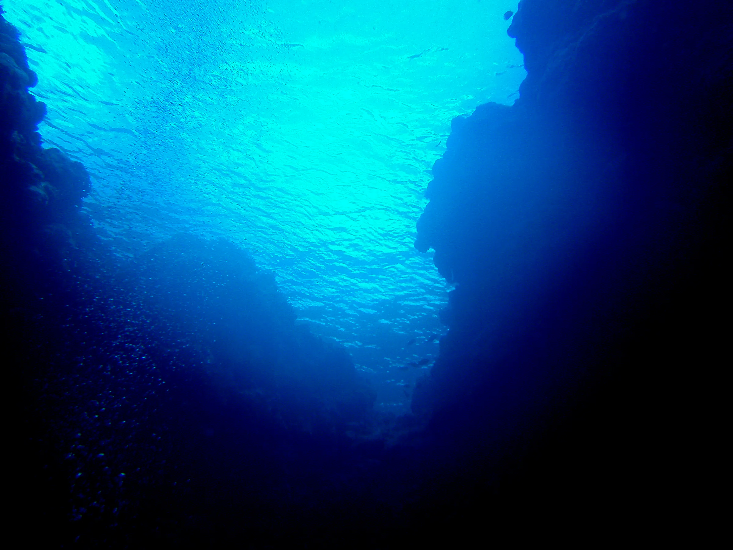 Des;ending from the sole reef top entry to the Virgin Blue Hole, Palau