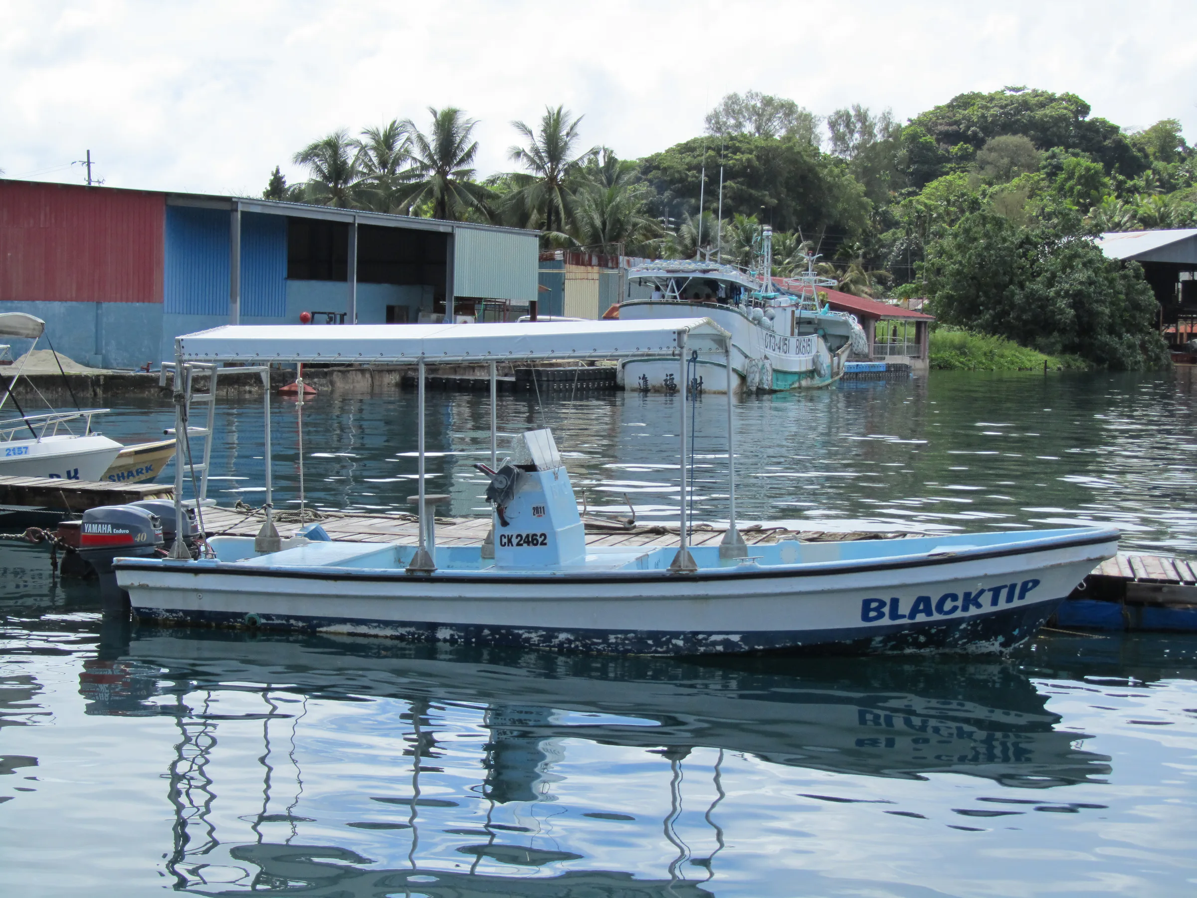 The Blacktip is Sam's first boat. Sam began business in 1991.  This boat is the one on which MB and I dove with Sam in January 1991, 20 years before, while Joyce, Nita & Brendan remained at the Palau Pacific Resort during the days.