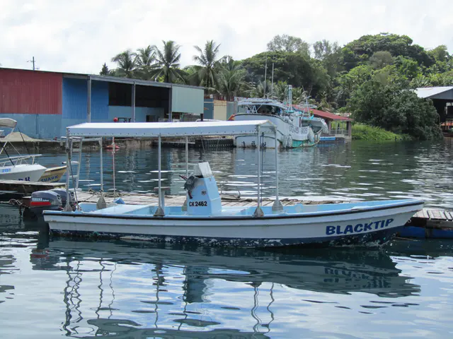 The Blacktip is Sam's first boat. Sam began business in 1991.  This boat is the one on which MB and I dove with Sam in January 1991, 20 years before, while Joyce, Nita & Brendan remained at the Palau Pacific Resort during the days.