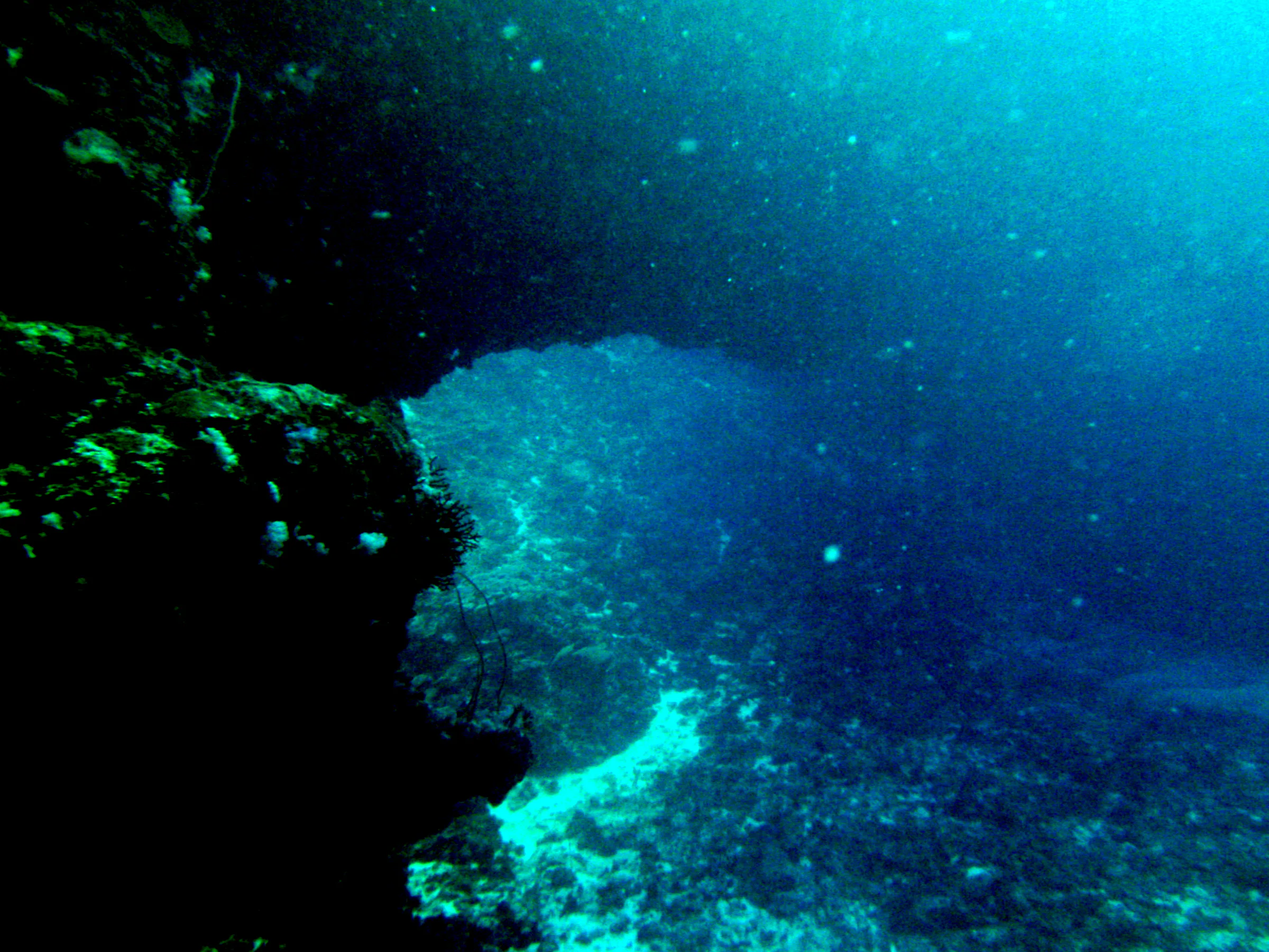 A second look back from the reef wall at the Coral Bridge.