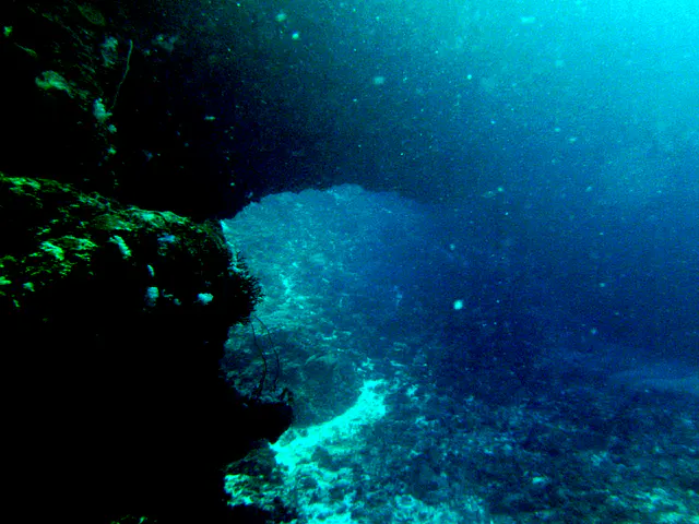 A second look back from the reef wall at the Coral Bridge.