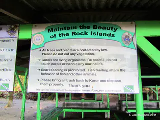 2011-01-14 Ulong Island for lunch (2).JPG