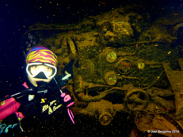 Underwater photograph by Joel Bergsma
