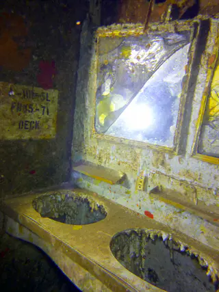 Underwater photograph by Joel Bergsma