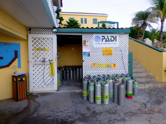 Underwater photograph by Joel Bergsma