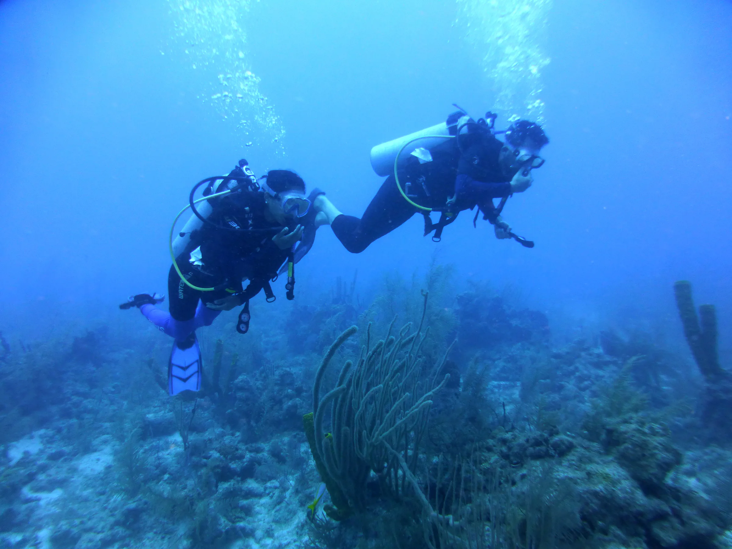 Belize underwater photograph, 2017