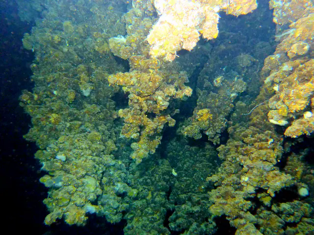 Submerged Stalactites