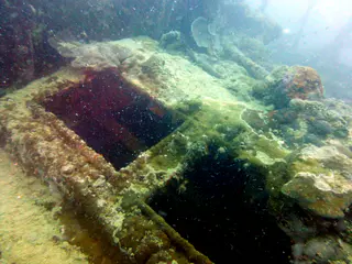 Underwater photograph by Joel Bergsma