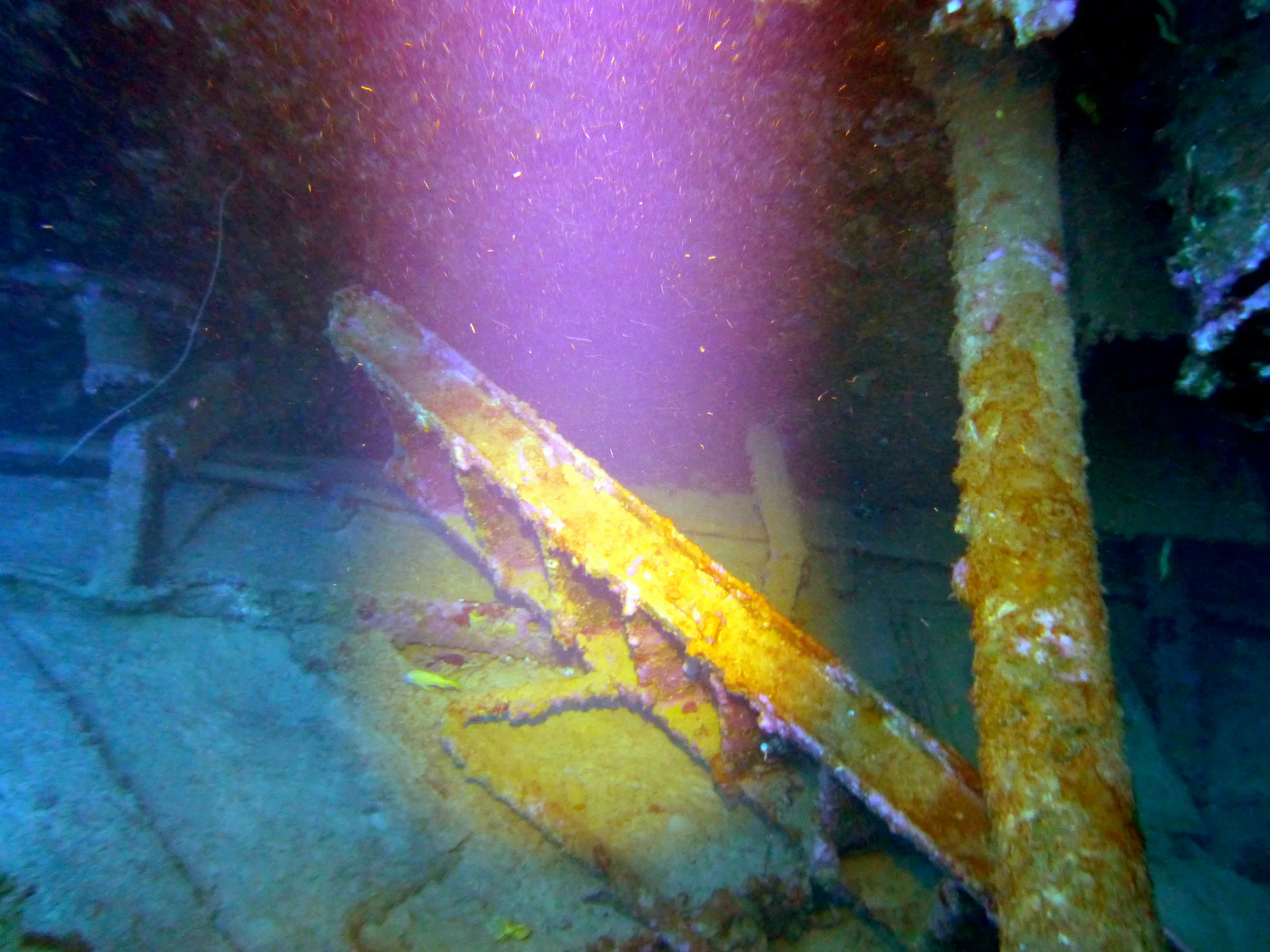 Bonaire underwater photograph, 2013
