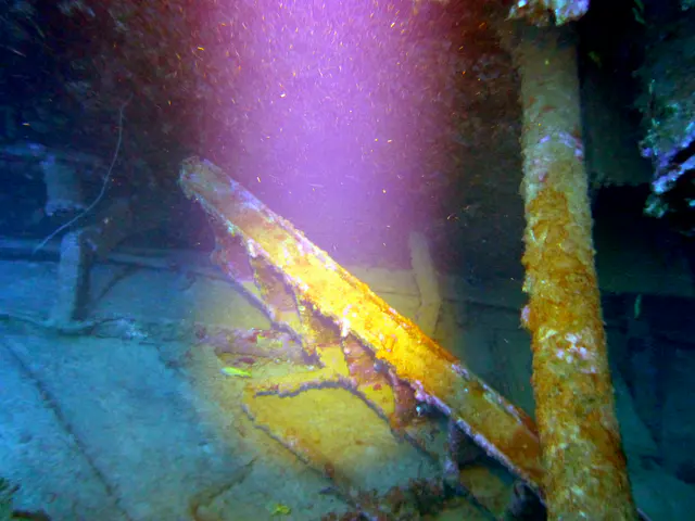 Underwater photograph by Joel Bergsma