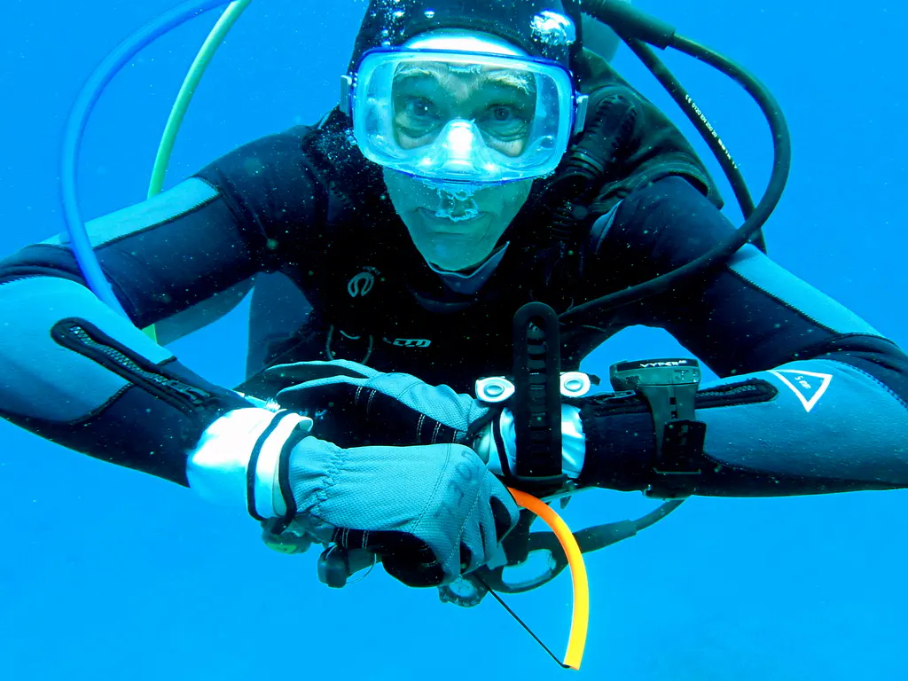 Philippines underwater photograph, 2026