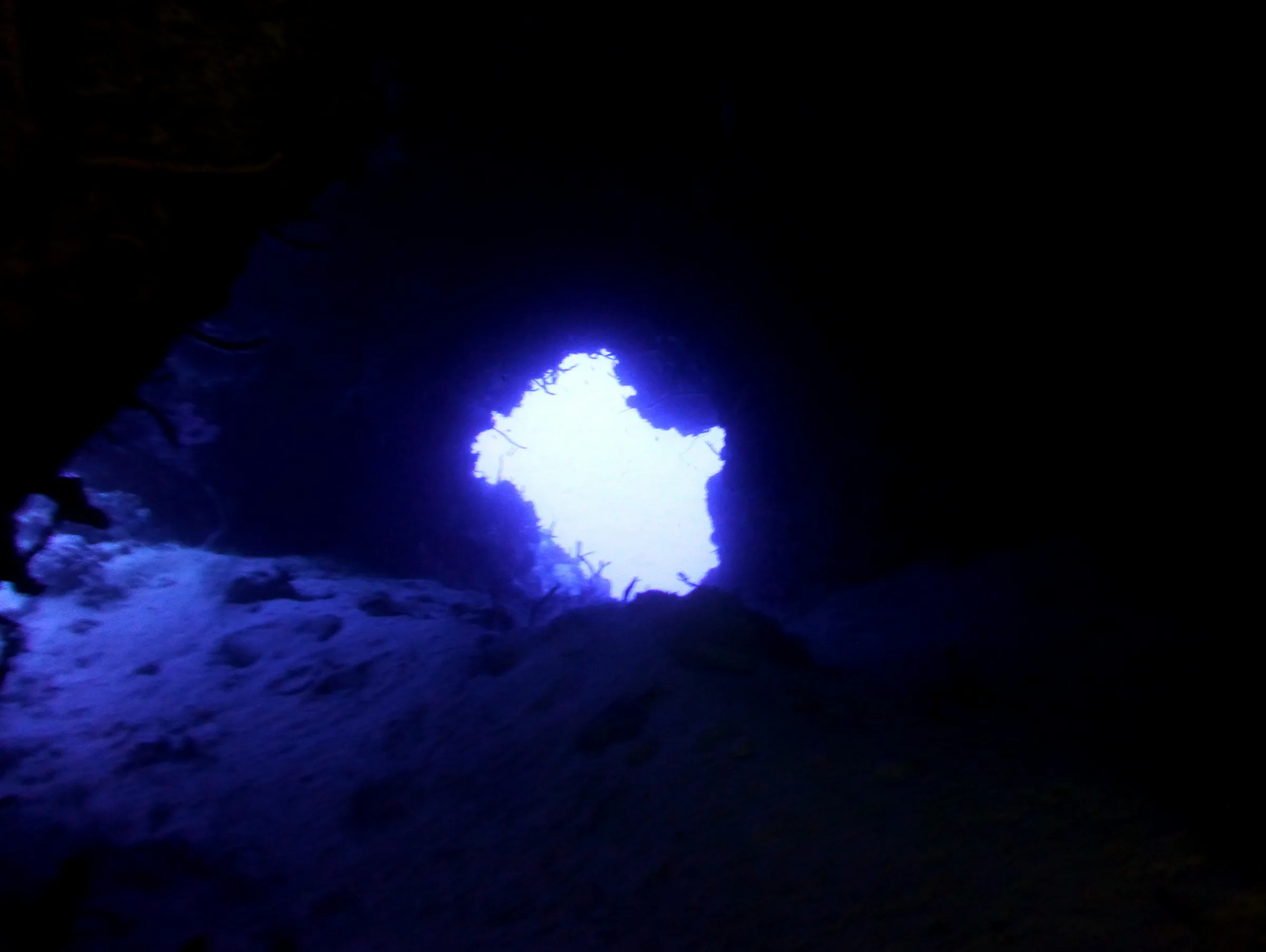 Cozumel underwater photograph, 2014