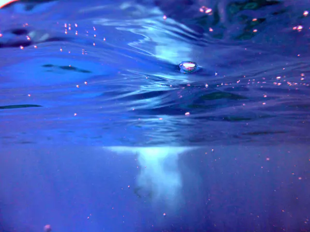 Underwater photograph by Joel Bergsma