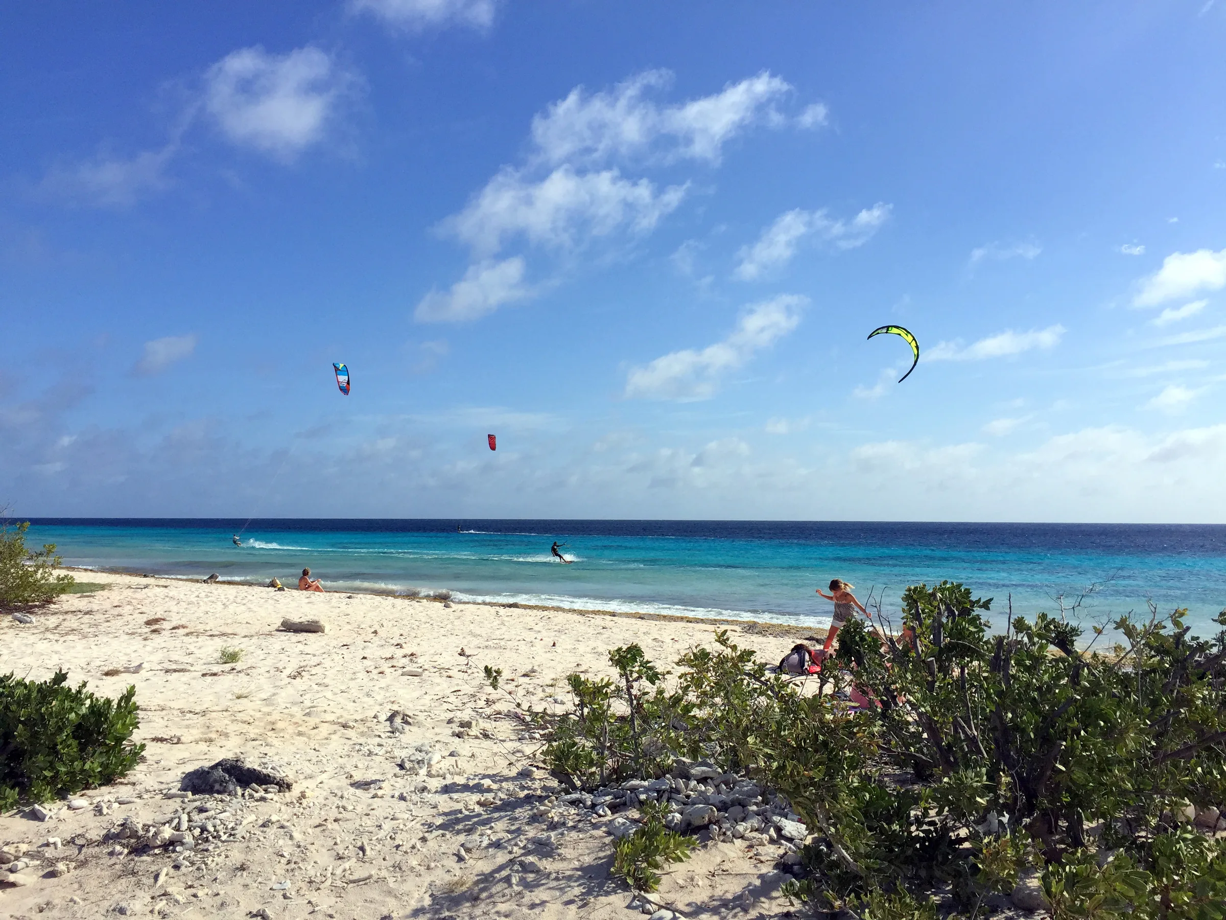 Bonaire underwater photograph, 2015