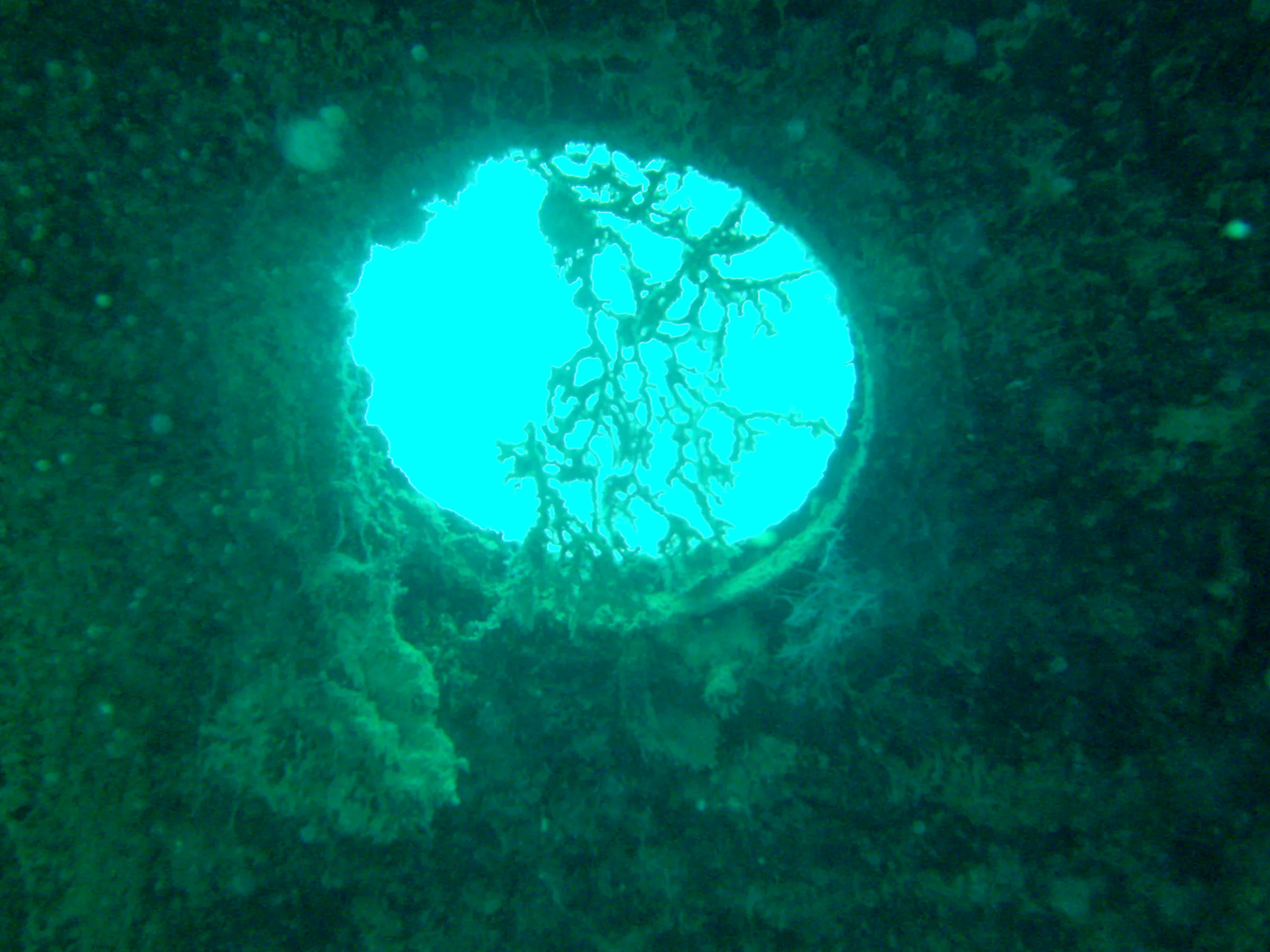 Looking out of a port hole from inside of the cargo ship & WWII wreck Nagisan Maru.