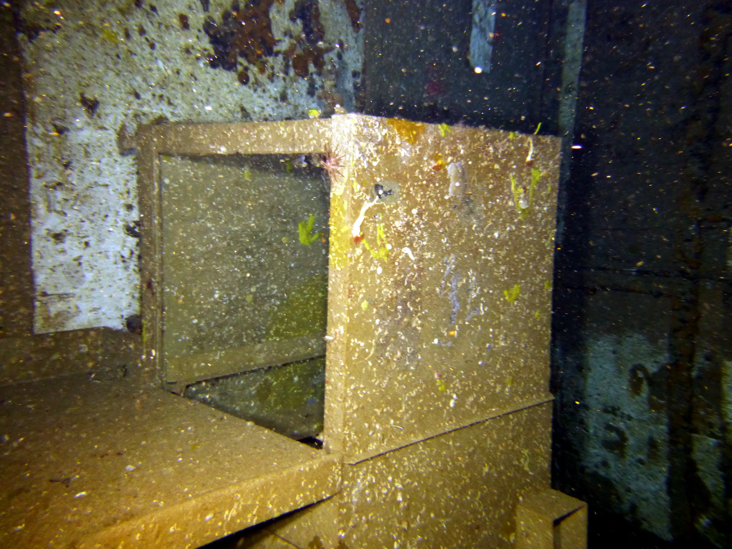Cayman Islands underwater photograph, 2014