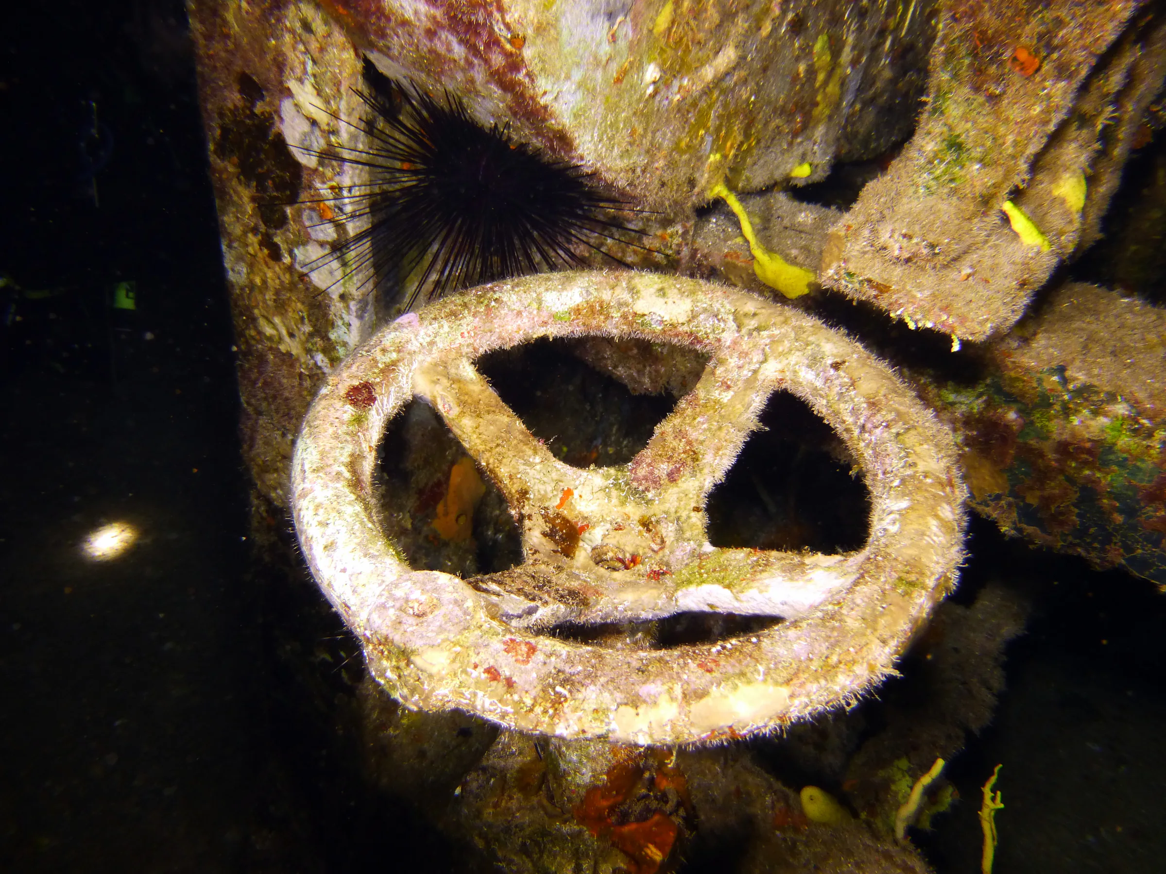 Cayman Islands underwater photograph, 2014
