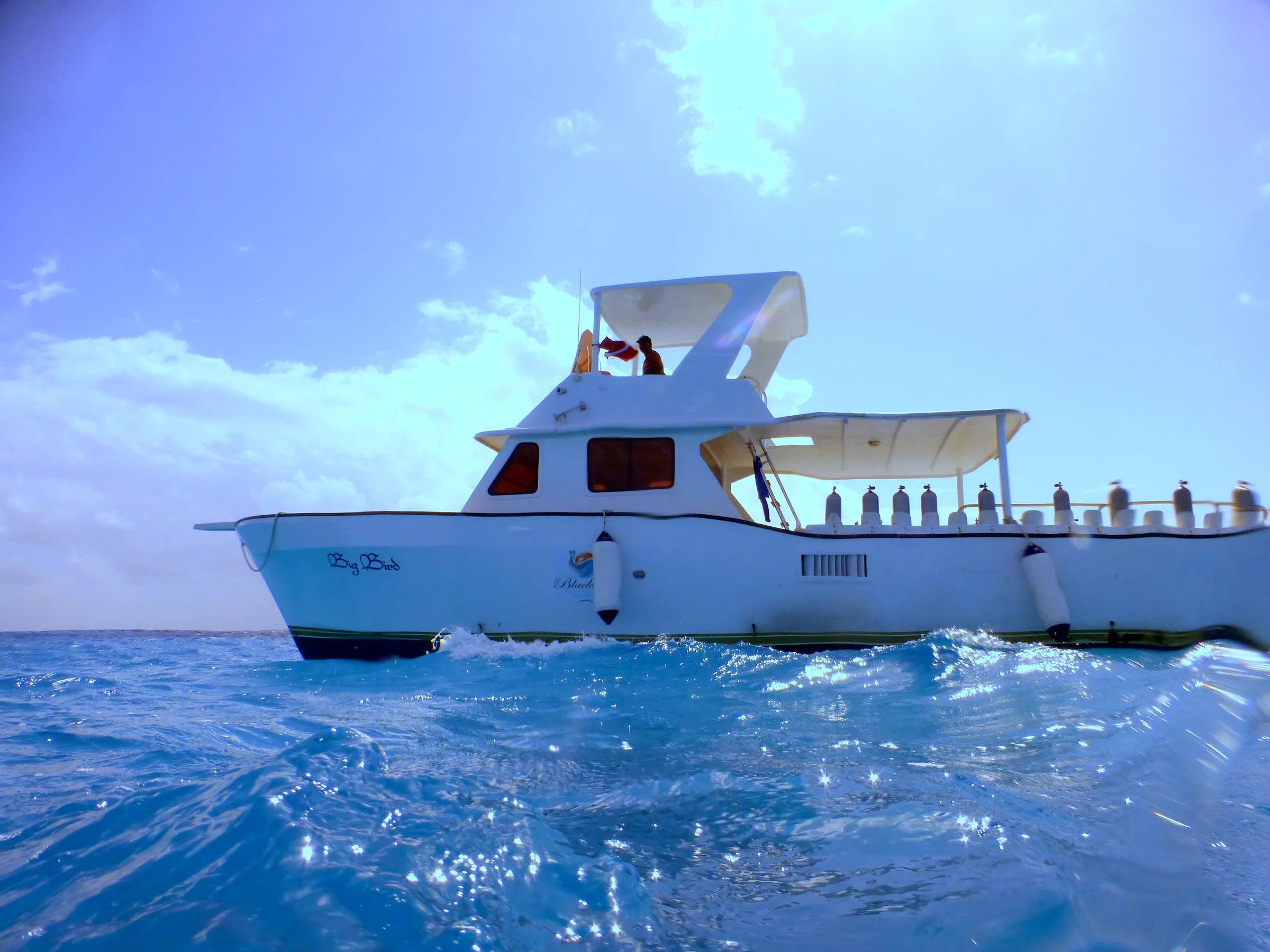 Belize underwater photograph, 2017