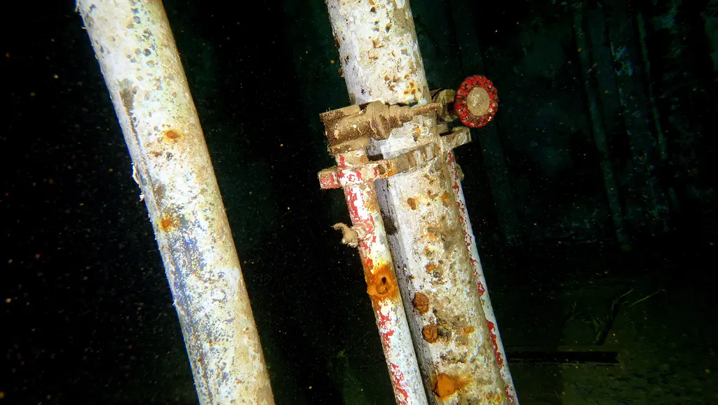 Underwater photograph by Joel Bergsma