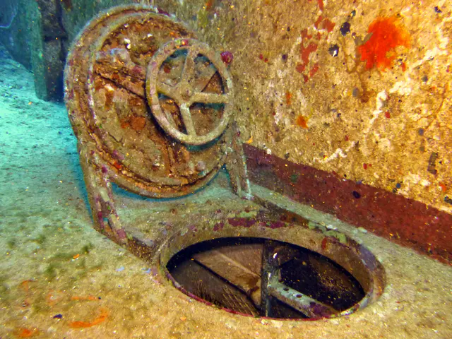 Underwater photograph by Joel Bergsma