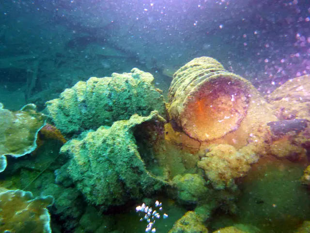 Underwater photograph by Joel Bergsma