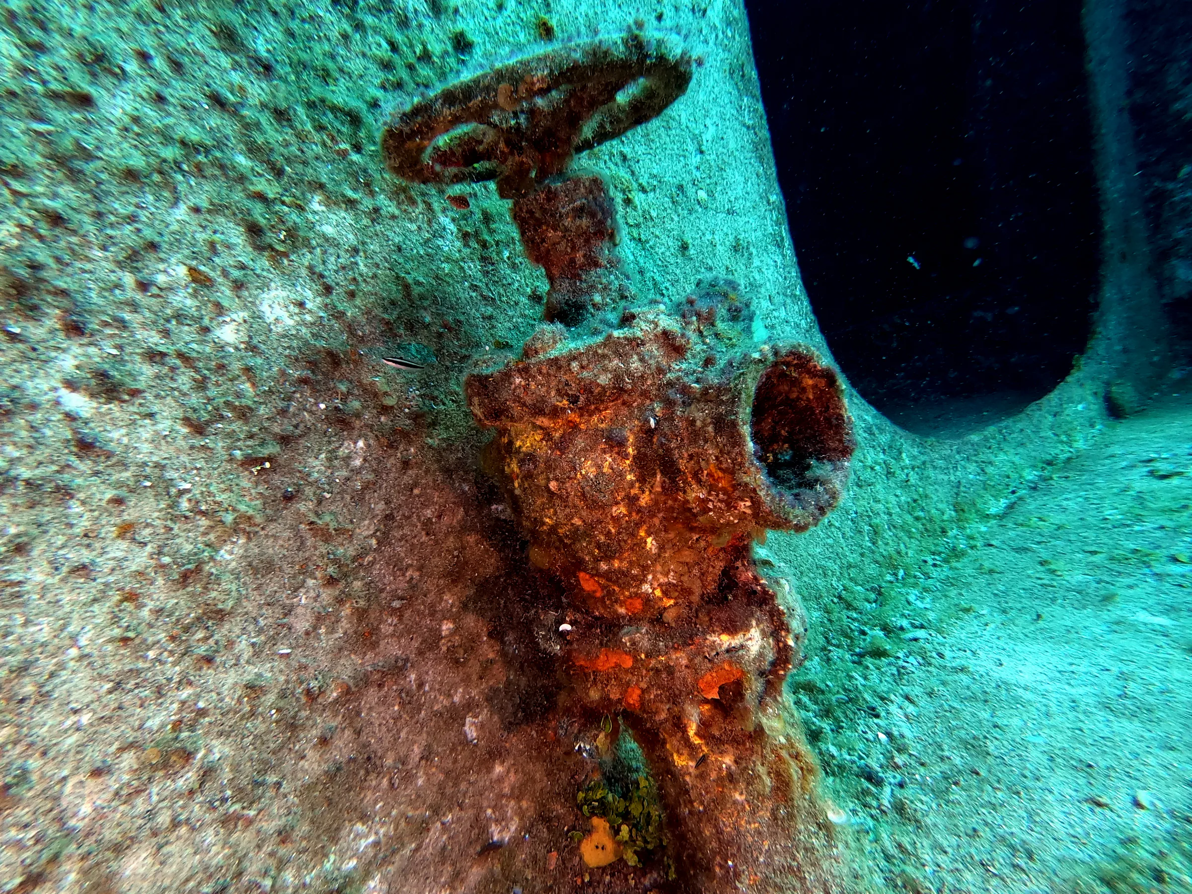 DCIM\100GOPRO\GOPR1040.JPG