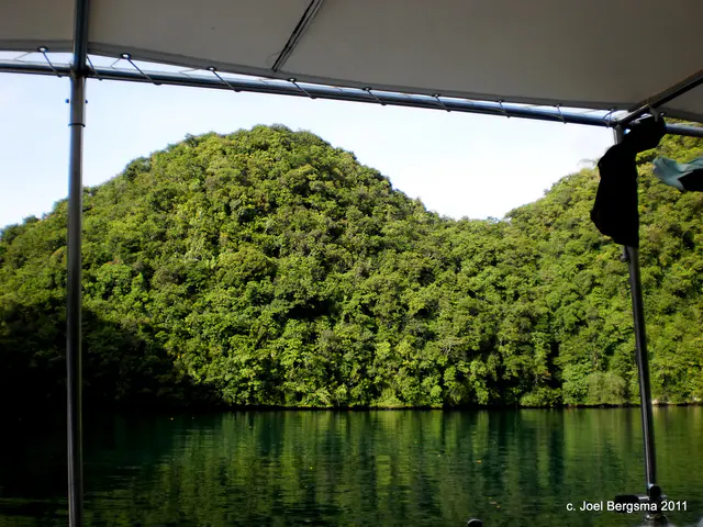 2011-01-15 Rock Islands by boat (15).JPG