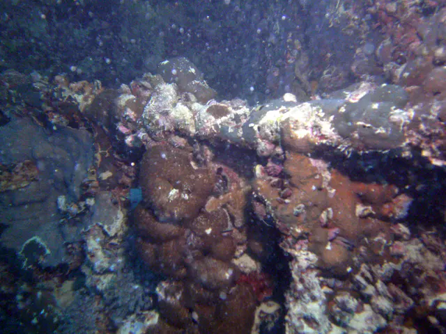 Propeller shaft (perhaps)