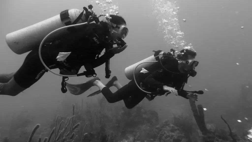 Underwater photograph by Joel Bergsma