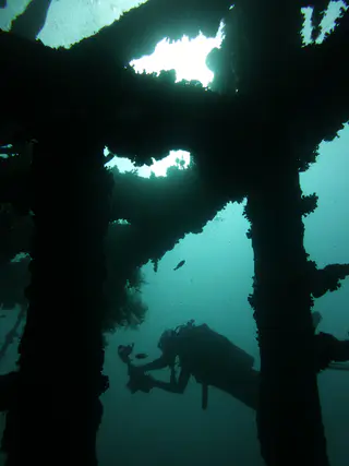 Underwater photograph by Joel Bergsma