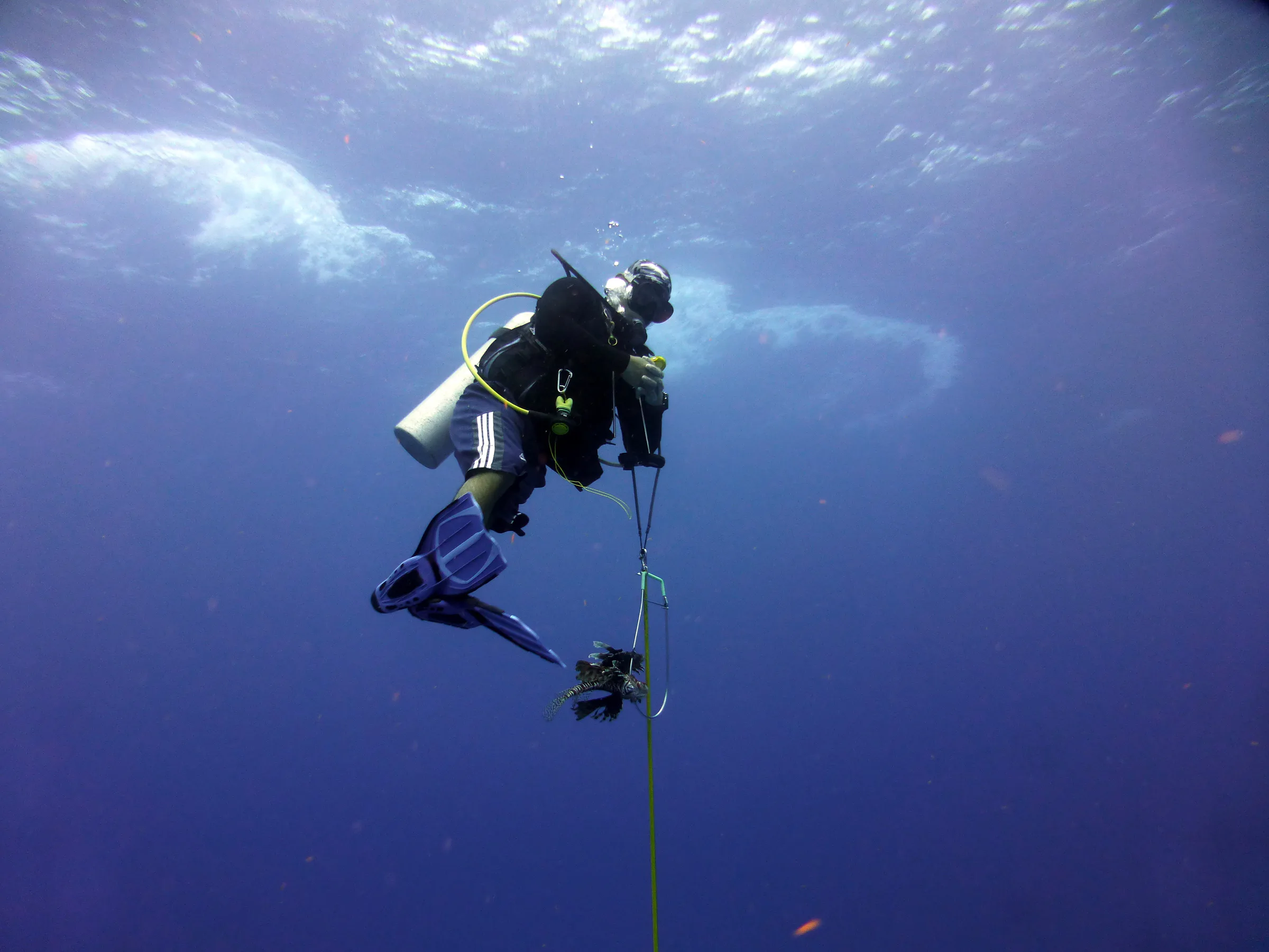 Belize underwater photograph, 2017