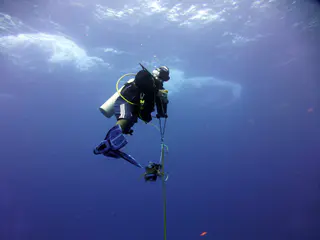 Underwater photograph by Joel Bergsma