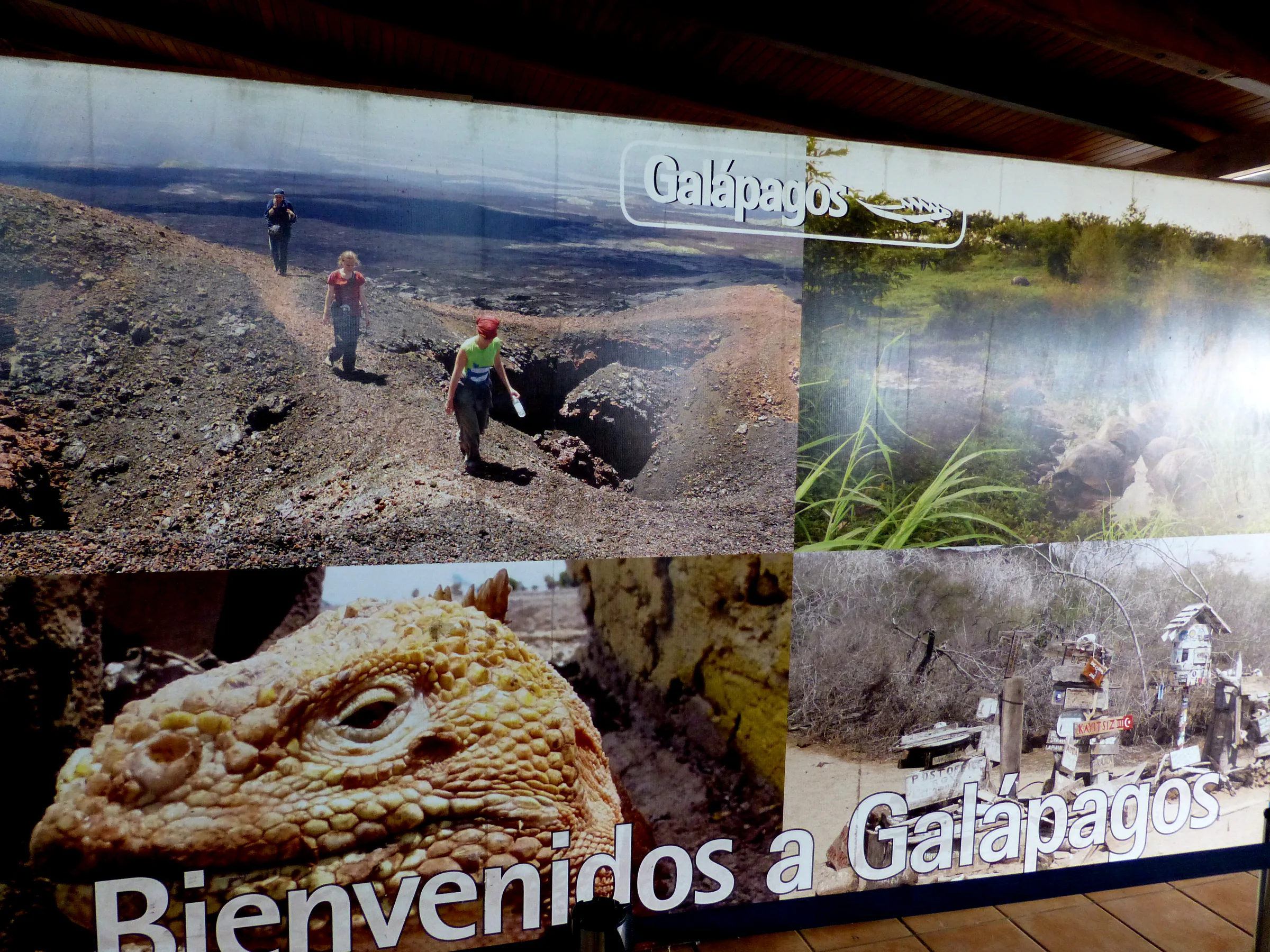 Airport sign - Welcome to the Galapagos. Photos include the volcano hike on Isabela Island, a land iguana's head, and post office bay in Floreana.