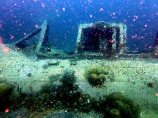 Underwater photograph by Joel Bergsma