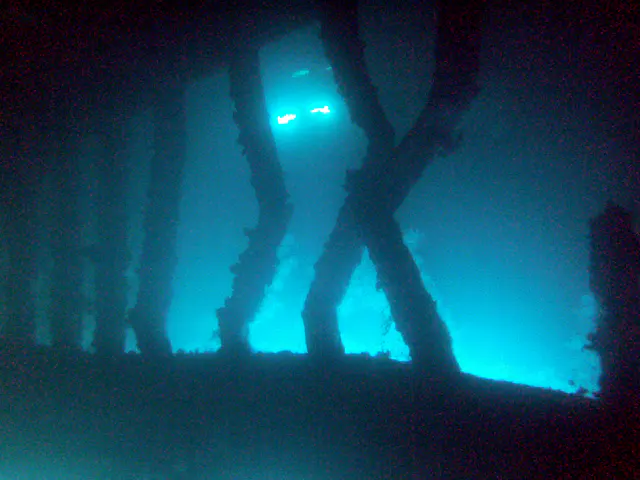 Support beams in the cargo hold.