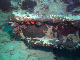 A steel beam lies amid the wreckage.