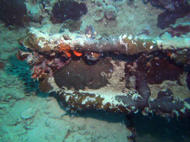 A steel beam lies amid the wreckage.