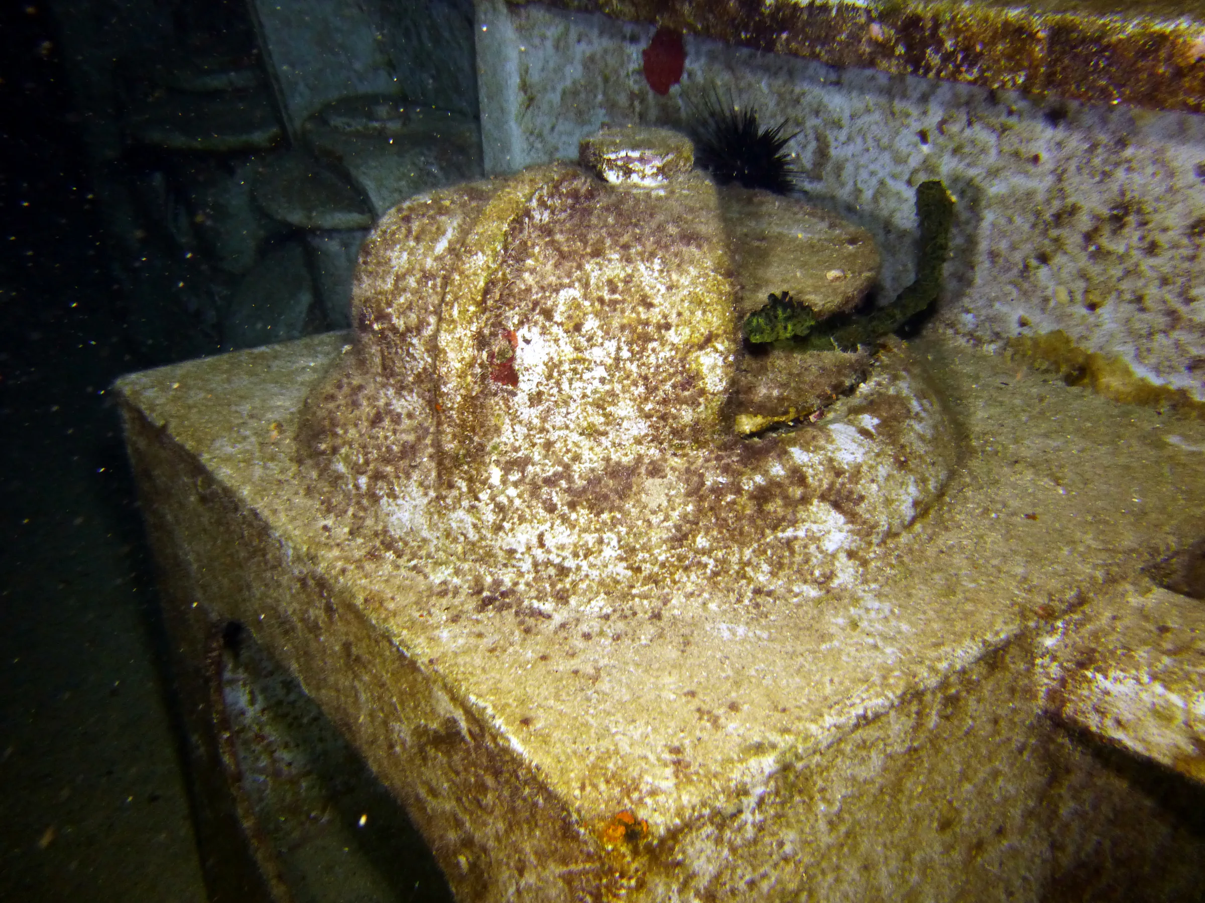 Cayman Islands underwater photograph, 2014