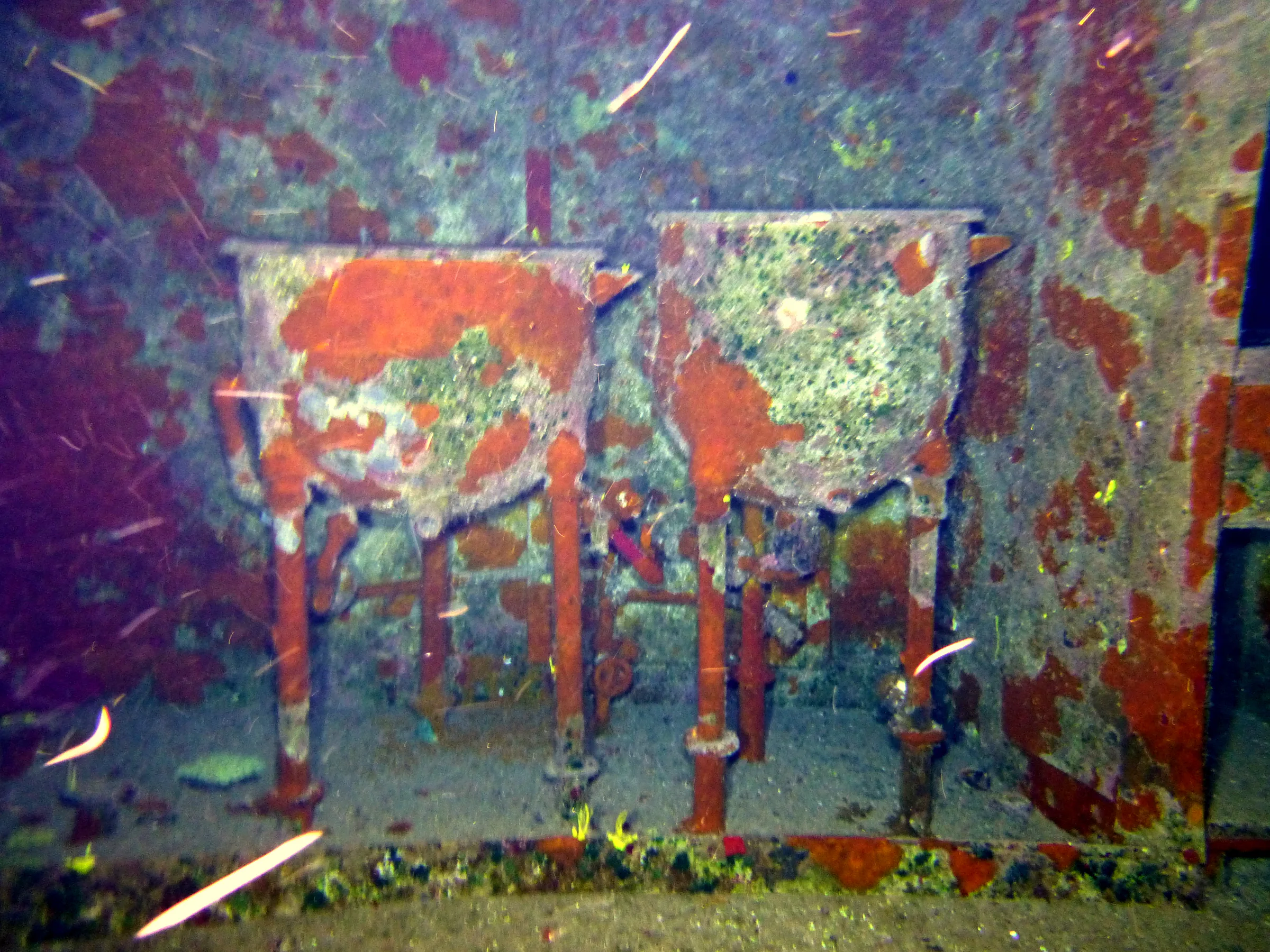 Cayman Islands underwater photograph, 2014