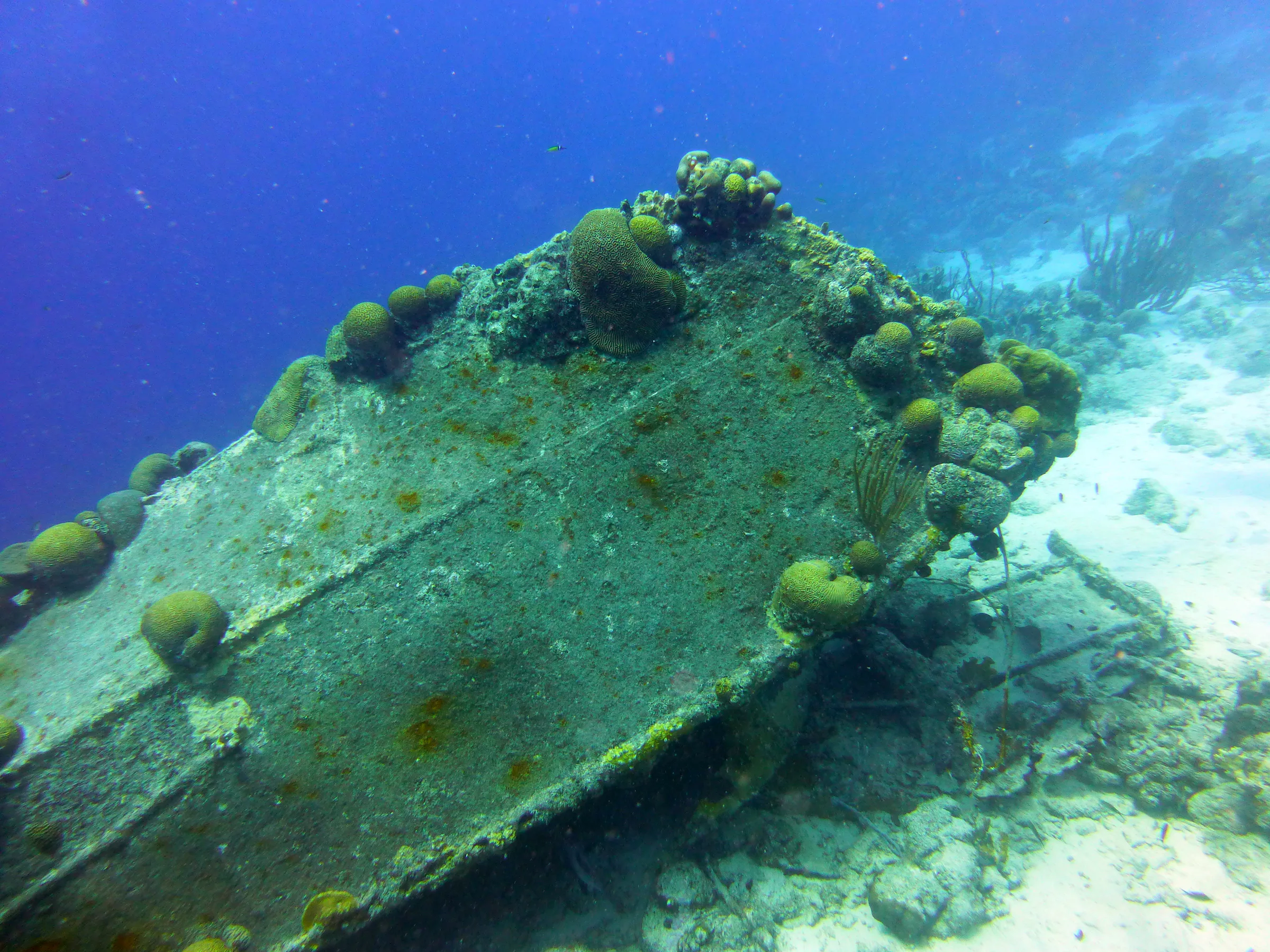 Bonaire underwater photograph, 2013