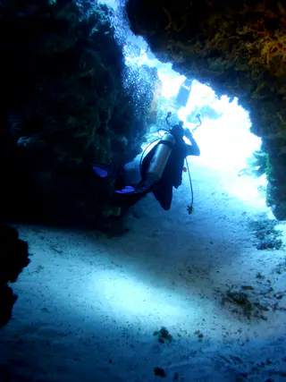 Underwater photograph by Joel Bergsma