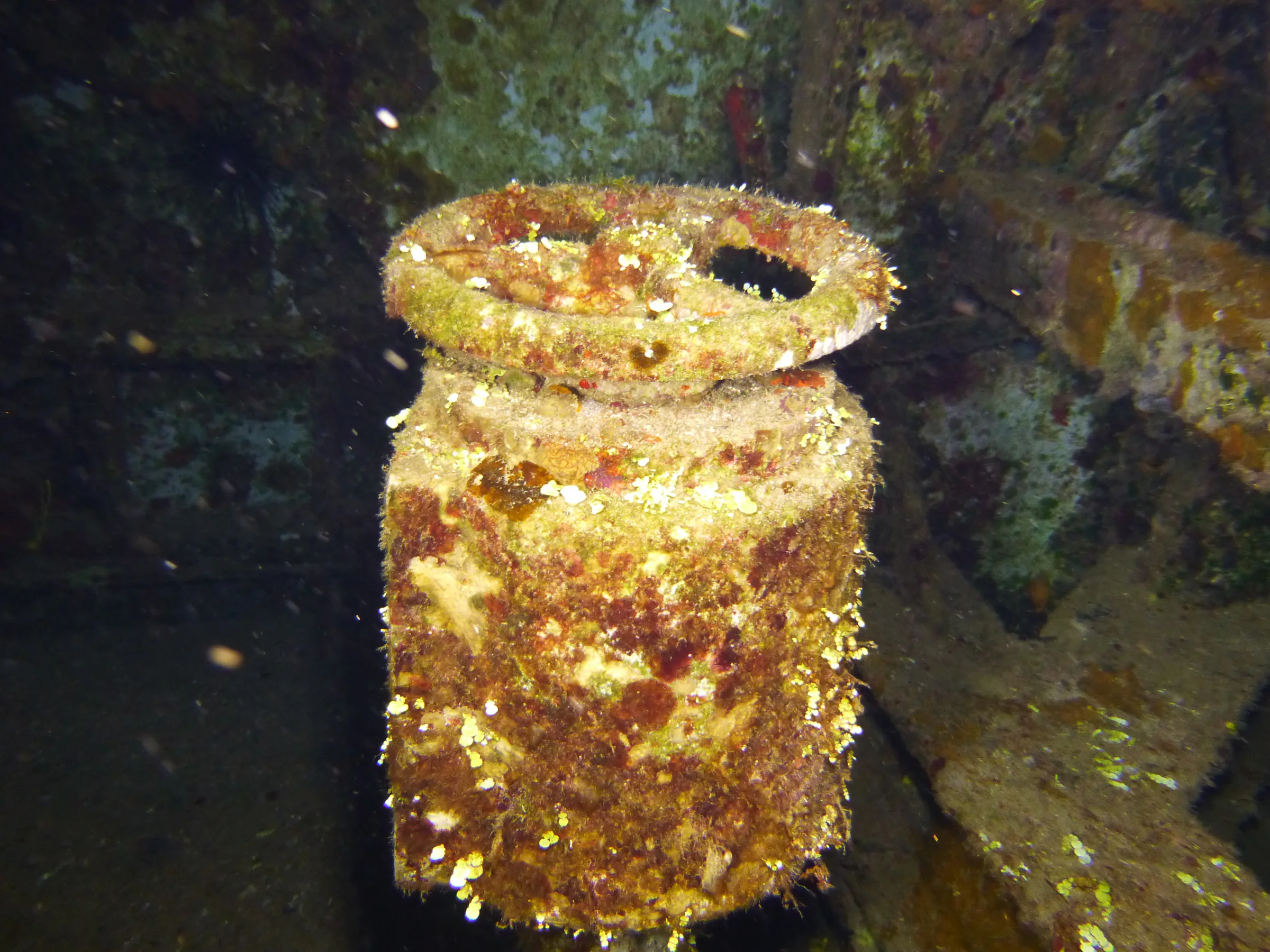 Cayman Islands underwater photograph, 2014
