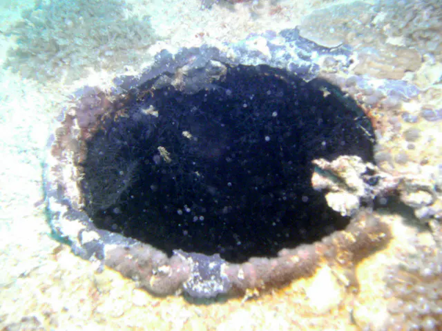 Porthole aboard the WWII Wreck Nagisan Maru.