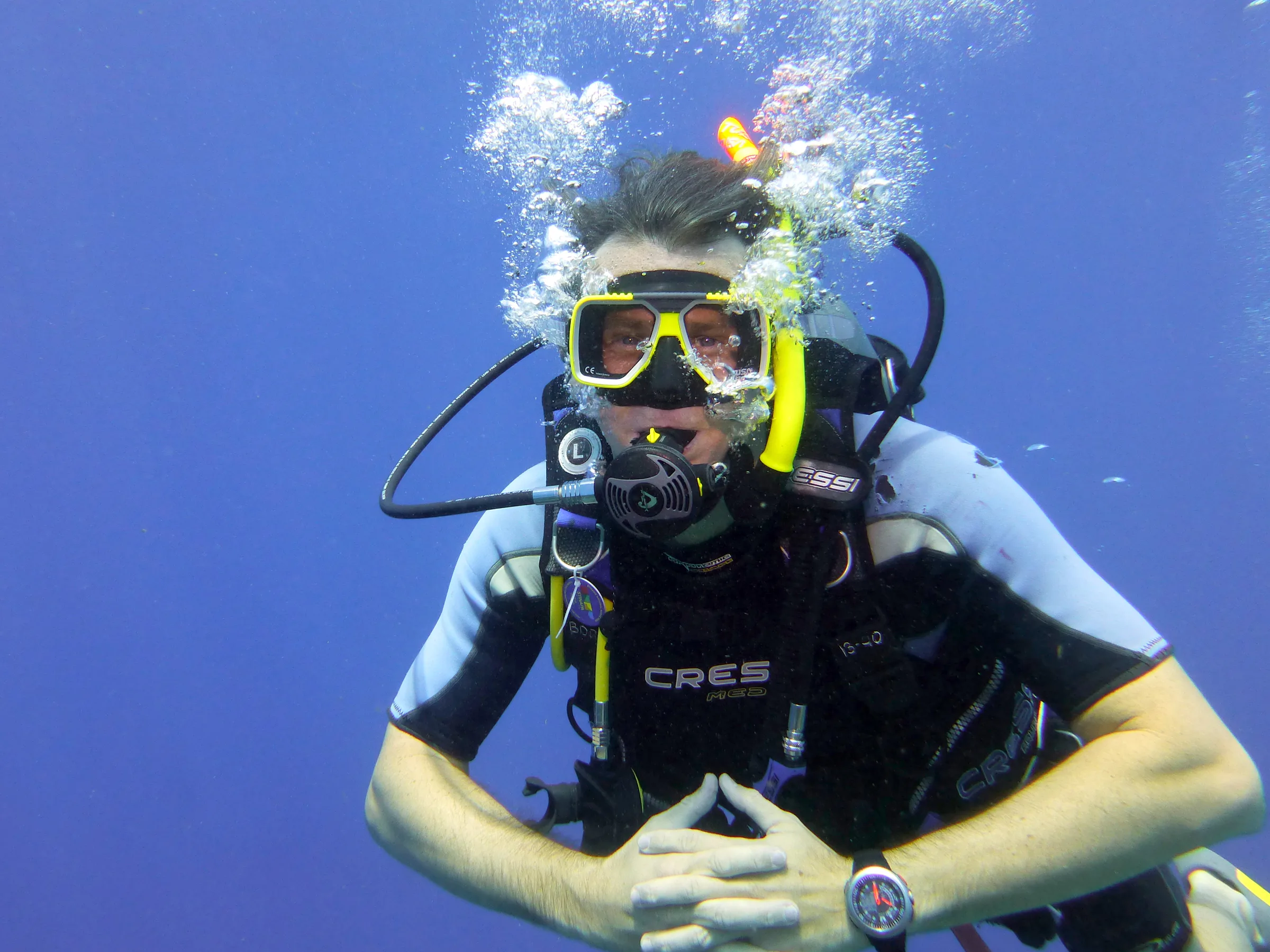 Bonaire underwater photograph, 2013
