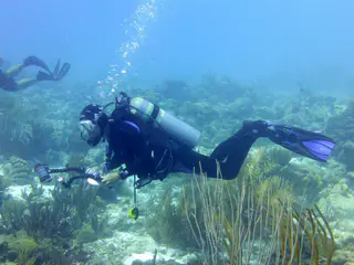 Underwater photograph by Joel Bergsma