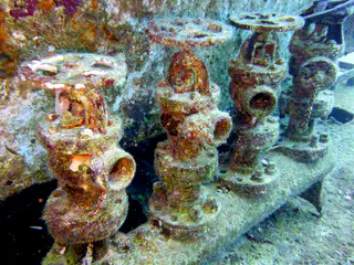 Underwater photograph by Joel Bergsma