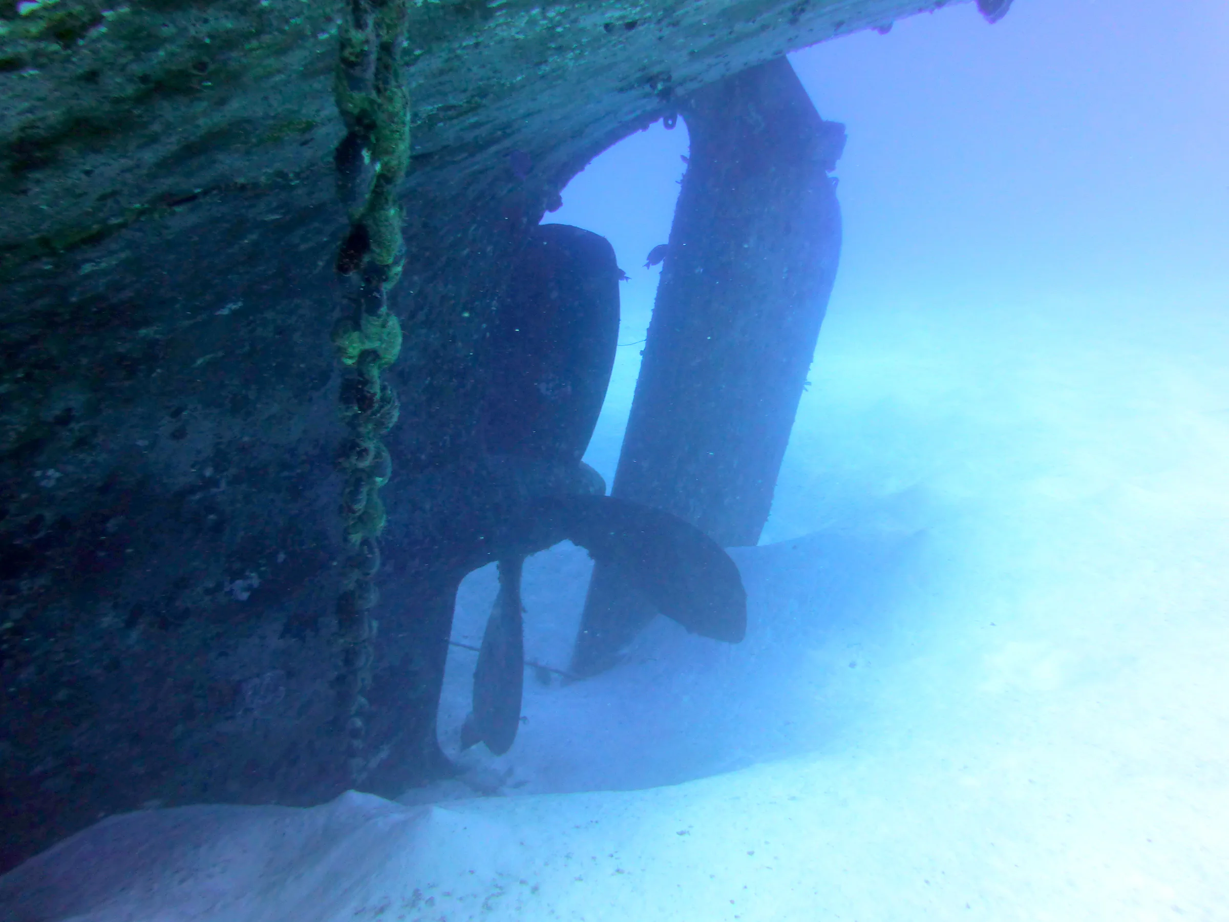 Cayman Islands underwater photograph, 2014