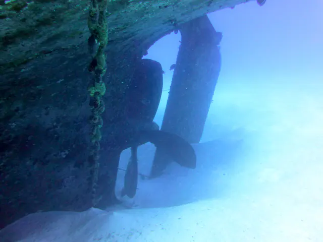 Underwater photograph by Joel Bergsma